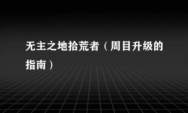 无主之地拾荒者（周目升级的指南）