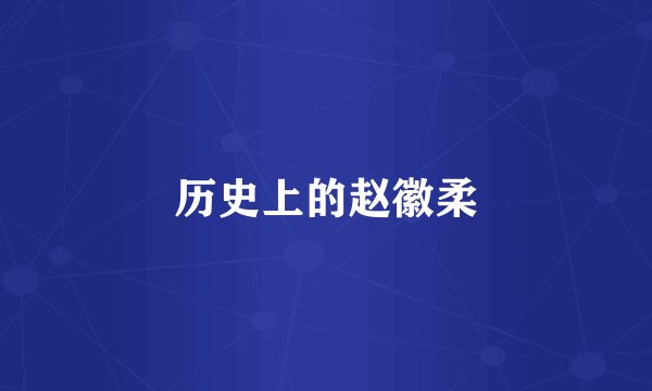 历史上的赵徽柔