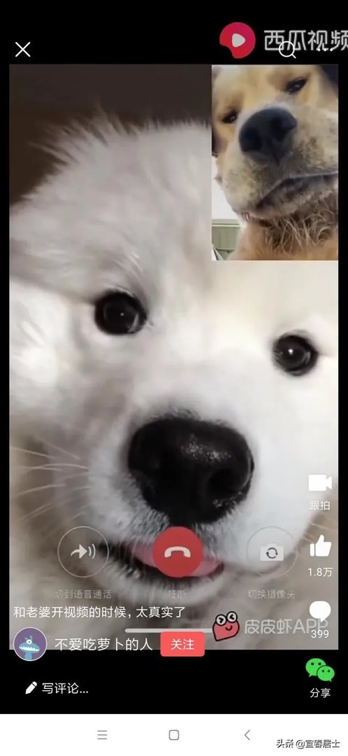 什么是移轴摄影?移轴摄影怎么拍?