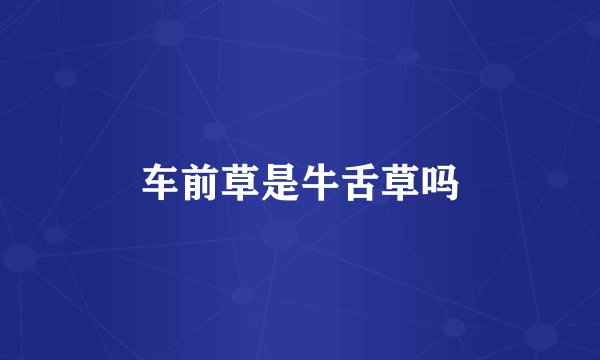 车前草是牛舌草吗
