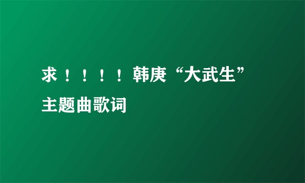 求 ！！！！韩庚“大武生”主题曲歌词