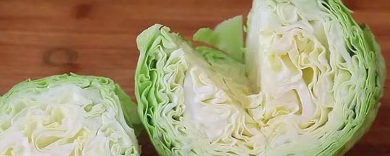 包菜怎么炒