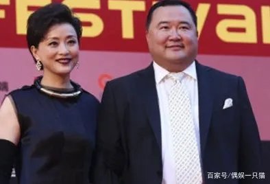 杨澜的老公是谁