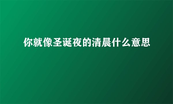 你就像圣诞夜的清晨什么意思