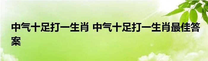 中气十足打一生肖 中气十足打一生肖最佳答案