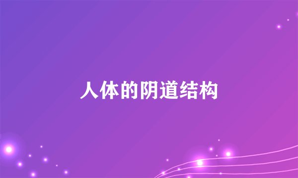人体的阴道结构