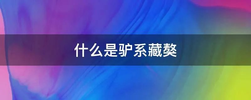 什么是驴系藏獒