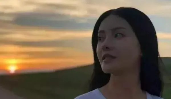张芷溪吴秀波事件是真的吗
