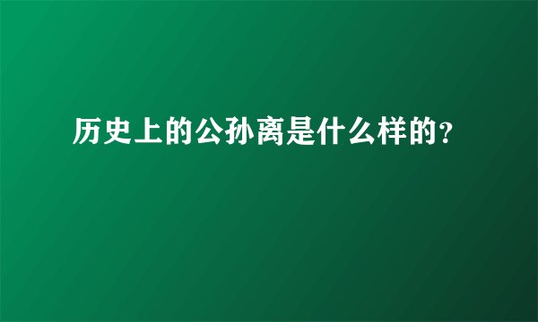 历史上的公孙离是什么样的？