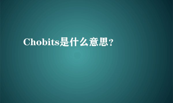 Chobits是什么意思？