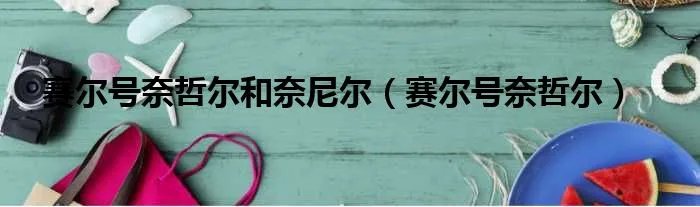 赛尔号奈哲尔和奈尼尔（赛尔号奈哲尔）