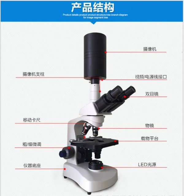 一滴血检测仪怎么看干血，什么原理，对比图是什么？