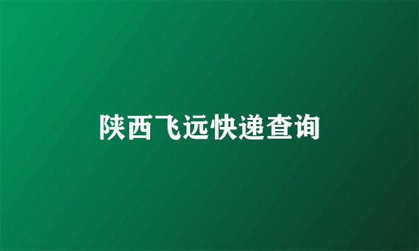陕西飞远快递查询