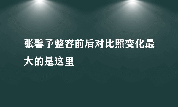 张馨予整容前后对比照变化最大的是这里