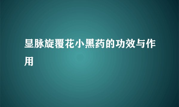 显脉旋覆花小黑药的功效与作用