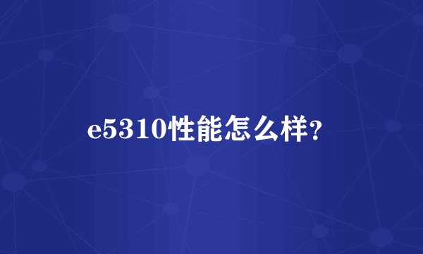 e5310性能怎么样？