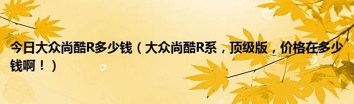今日大众尚酷R多少钱(大众尚酷R系,顶级版,价格在多少钱啊!)
