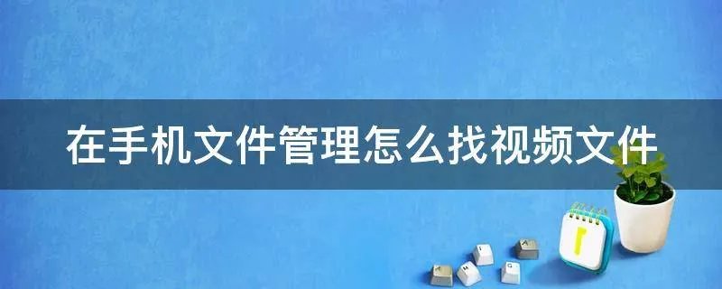 在手机文件管理怎么找视频文件