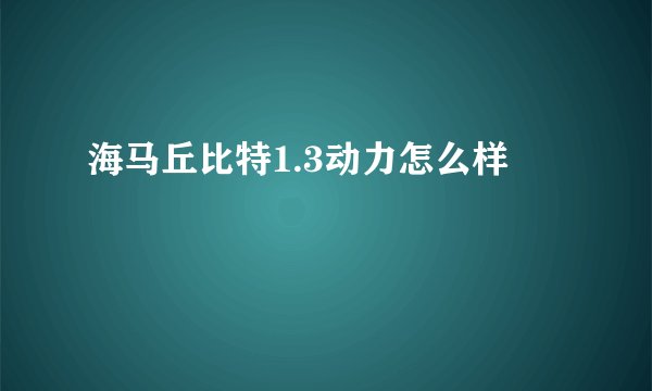 海马丘比特1.3动力怎么样