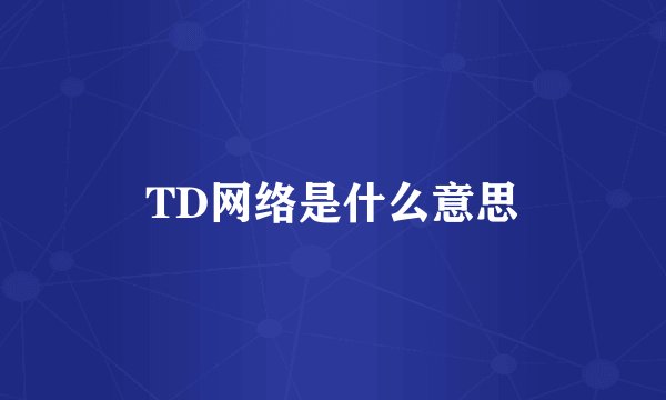 TD网络是什么意思