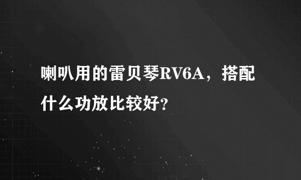 喇叭用的雷贝琴RV6A，搭配什么功放比较好？