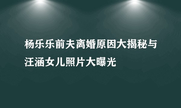 杨乐乐前夫离婚原因大揭秘与汪涵女儿照片大曝光
