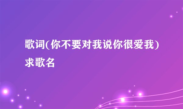歌词(你不要对我说你很爱我)求歌名