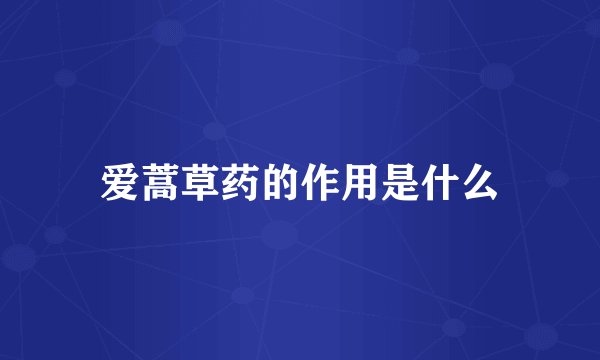 爱蒿草药的作用是什么