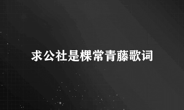 求公社是棵常青藤歌词