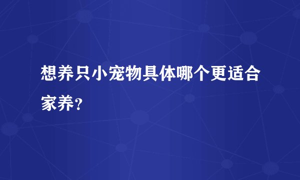 想养只小宠物具体哪个更适合家养？