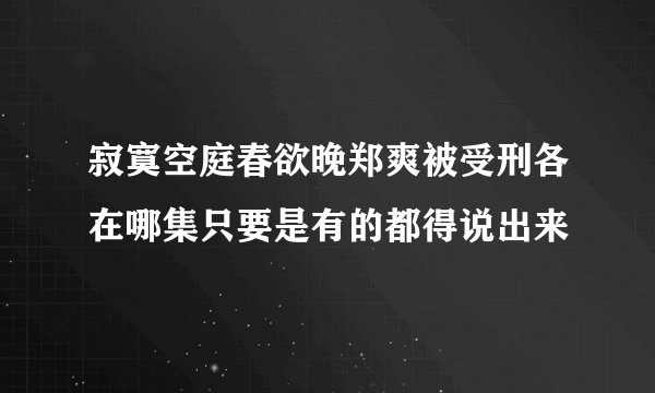 寂寞空庭春欲晚郑爽被受刑各在哪集只要是有的都得说出来