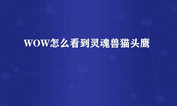 WOW怎么看到灵魂兽猫头鹰