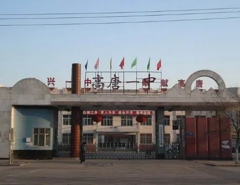 山东省高唐县的高唐一中、还是二中好啊，详细陈述点，谢了