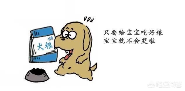 狗狗泪痕怎么解决？