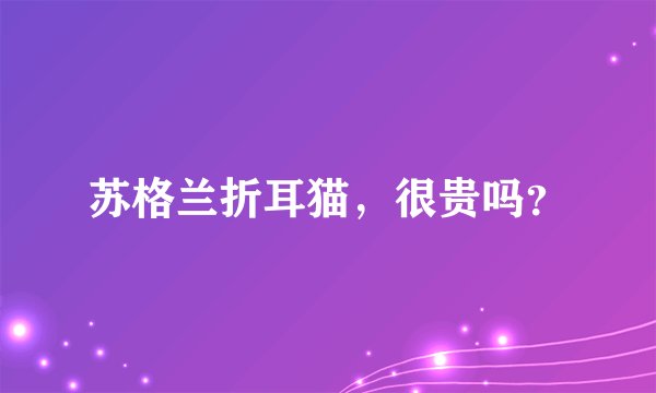 苏格兰折耳猫，很贵吗？