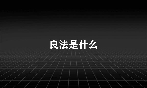 良法是什么