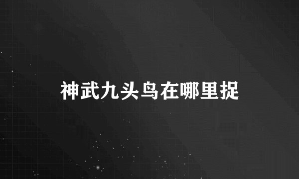 神武九头鸟在哪里捉