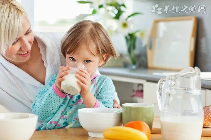 最适合狗狗吃的6种水果,不仅美味还能让狗狗越吃越健康