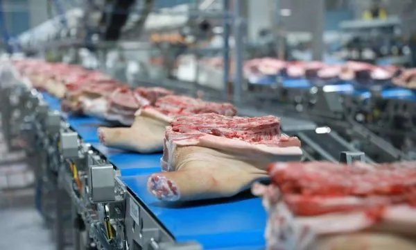 9月猪肉价格同比上涨25.5%，生猪降价猪肉涨价，合理吗？