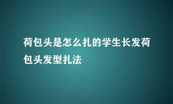 荷包头是怎么扎的学生长发荷包头发型扎法
