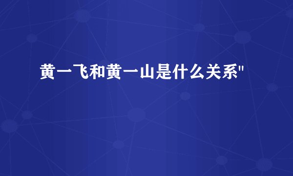 黄一飞和黄一山是什么关系