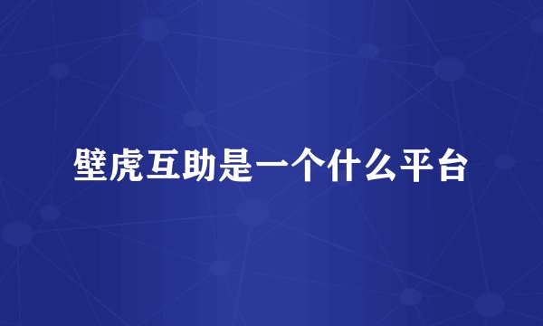 壁虎互助是一个什么平台