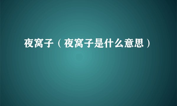 夜窝子（夜窝子是什么意思）