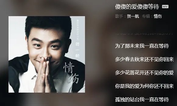 有一首歌，歌词里有“我傻傻的爱，我傻傻等待”这首歌的名字是什么？