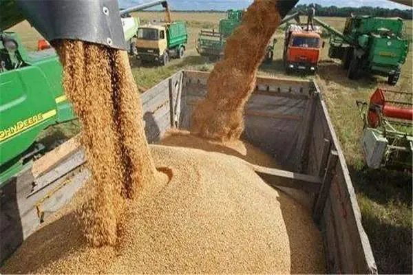 我国粮食生产实现“十七连丰”，对此你怎么看？