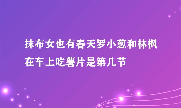 抹布女也有春天罗小葱和林枫在车上吃薯片是第几节