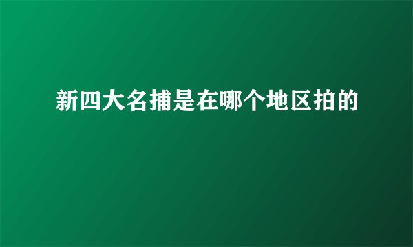 新四大名捕是在哪个地区拍的
