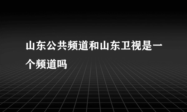 山东公共频道和山东卫视是一个频道吗