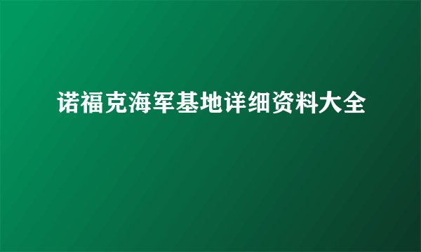 诺福克海军基地详细资料大全
