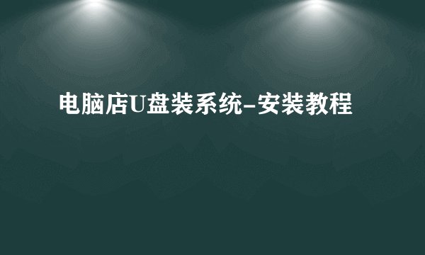 电脑店U盘装系统-安装教程